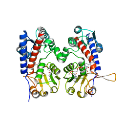 BU of 6ecr by Molmil