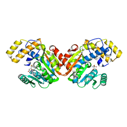 BU of 6ecw by Molmil