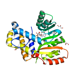 BU of 6ecx by Molmil