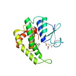 AU of 6ed8 by Molmil