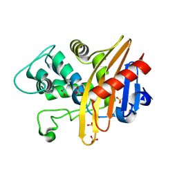 BU of 6edm by Molmil