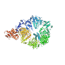 AU of 6edo by Molmil