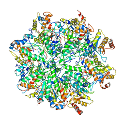 BU of 6ef0 by Molmil