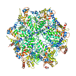 BU of 6ef1 by Molmil