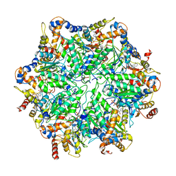 BU of 6ef2 by Molmil