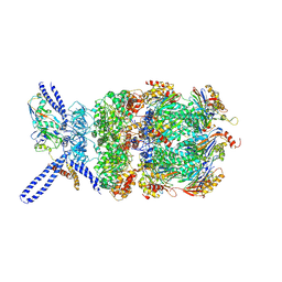 BU of 6ef3 by Molmil