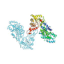 BU of 6eg2 by Molmil