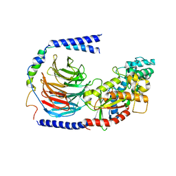 BU of 6eg8 by Molmil