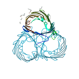 BU of 6ehc by Molmil