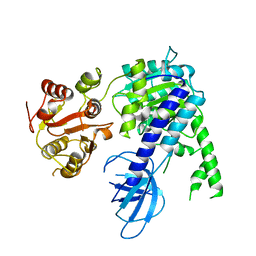 BU of 6ej5 by Molmil
