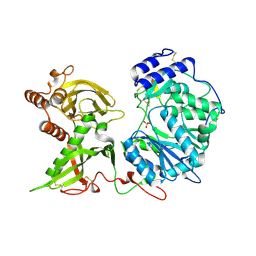 BU of 6ejc by Molmil