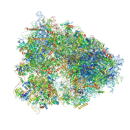 AU of 6ek0 by Molmil