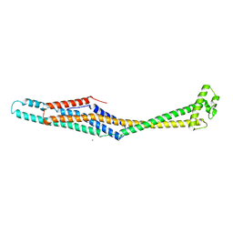 BU of 6ek4 by Molmil