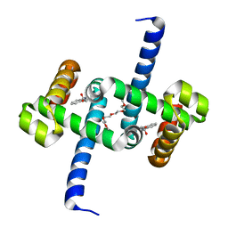 BU of 6ekp by Molmil