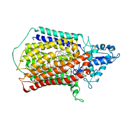 AU of 6elh by Molmil