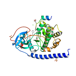 AU of 6eme by Molmil