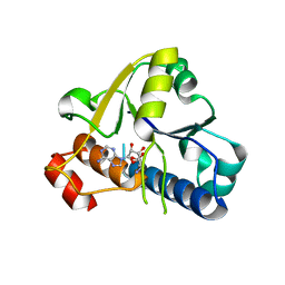 BU of 6emv by Molmil