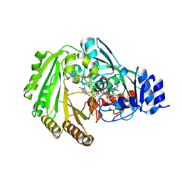 BU of 6eo4 by Molmil