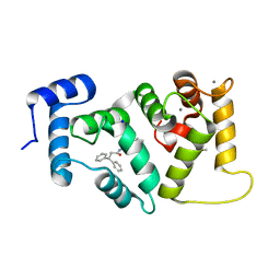 BU of 6epa by Molmil