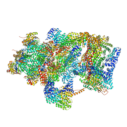 BU of 6epc by Molmil