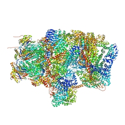 BU of 6epd by Molmil