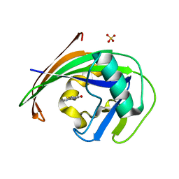 BU of 6eq3 by Molmil