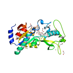 BU of 6eqs by Molmil