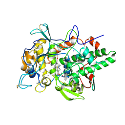 BU of 6erc by Molmil