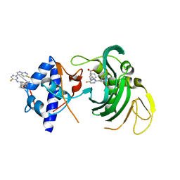 BU of 6euv by Molmil