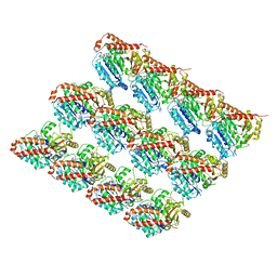 BU of 6evx by Molmil