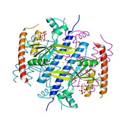 BU of 6ex0 by Molmil