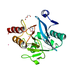 BU of 6ex7 by Molmil