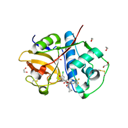 BU of 6ex8 by Molmil