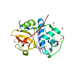 BU of 6ex8 by Molmil