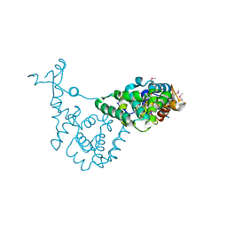 BU of 6exd by Molmil