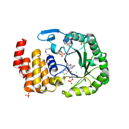 BU of 6ezc by Molmil