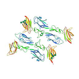 BU of 6f1c by Molmil