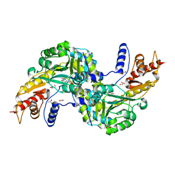 BU of 6f35 by Molmil