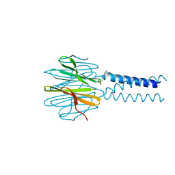 BU of 6f37 by Molmil