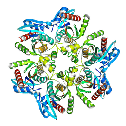 BU of 6f52 by Molmil