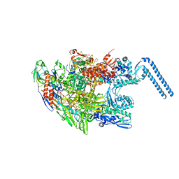 BU of 6f6w by Molmil