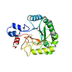 BU of 6fao by Molmil