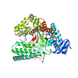 BU of 6fbc by Molmil