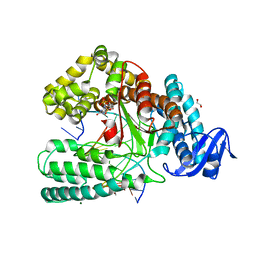 AU of 6fbe by Molmil