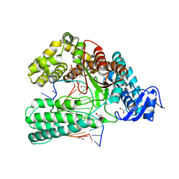 BU of 6fbg by Molmil