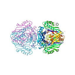 BU of 6fbp by Molmil