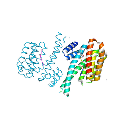 BU of 6fbw by Molmil