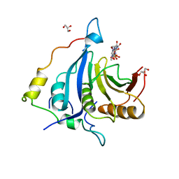 BU of 6fc1 by Molmil