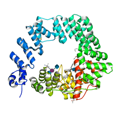 BU of 6fcs by Molmil