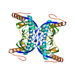 BU of 6fdg by Molmil